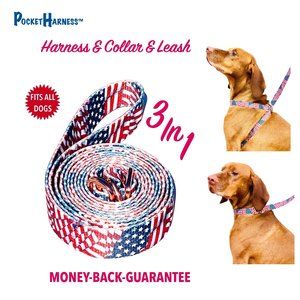 Dog Walking Fashion & Convenience